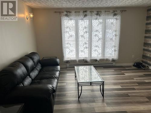 395 Main Street, Birchy Bay, NL - Indoor Photo Showing Living Room