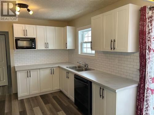 395 Main Street, Birchy Bay, NL - Indoor Photo Showing Kitchen With Double Sink