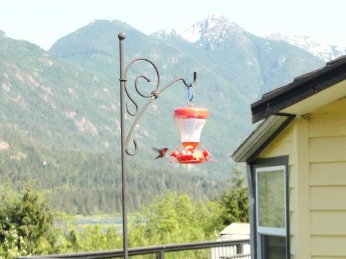 111 Seaview St, Sayward, BC - Outdoor With View