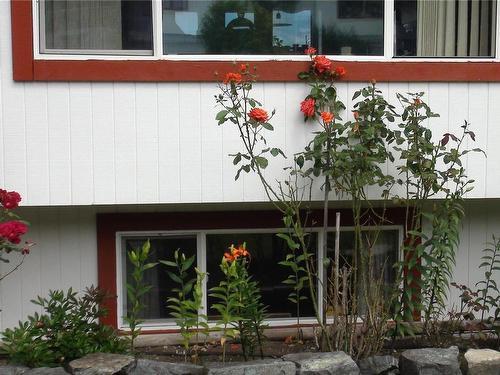 111 Seaview St, Sayward, BC - Outdoor With Deck Patio Veranda