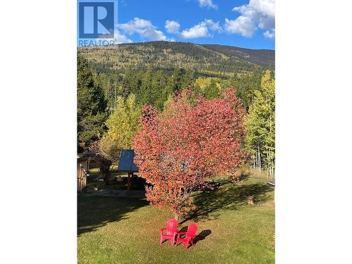 820 Beaven Crescent, Valemount, BC - Outdoor With View