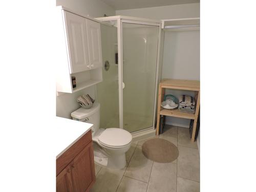 415 Hatton Avenue, Midway, BC - Indoor Photo Showing Bathroom