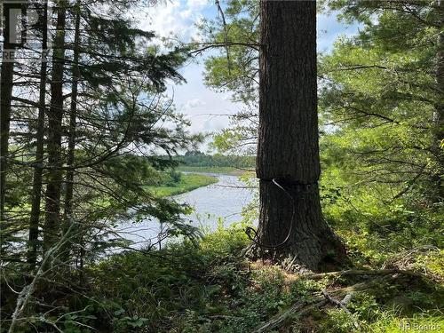 Lot 99-1 Red Pine Lane, Sillikers, NB 