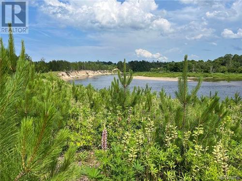 Lot 99-3 Red Pine Lane, Sillikers, NB 