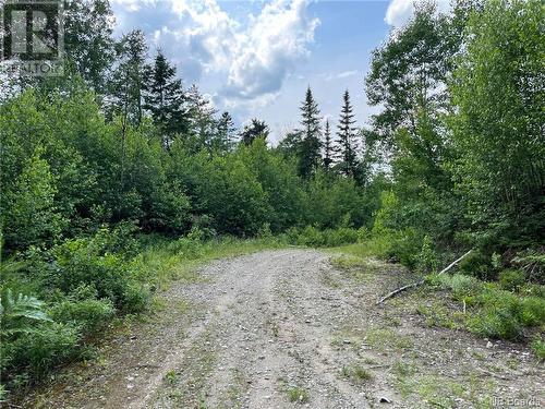 Lot 99-3 Red Pine Lane, Sillikers, NB 