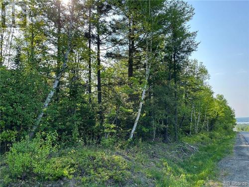 +/- 30 Acres Hansen Road, Miramichi, NB 