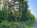 +/- 30 Acres Hansen Road, Miramichi, NB 