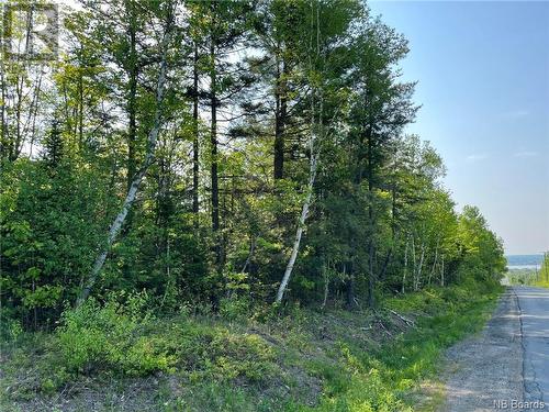 +/- 30 Acres Hansen Road, Miramichi, NB 