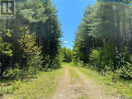 71 Storeytown Road, Doaktown, NB - Outdoor With View