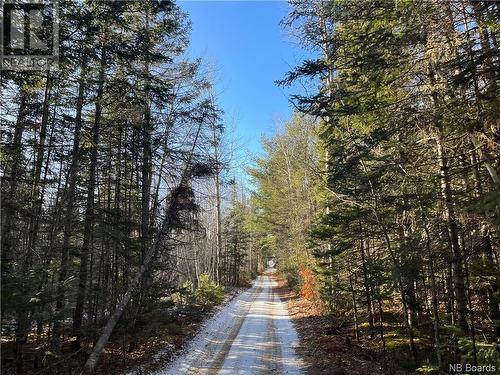 31 Acres Off Dunphy Road, Miramichi, NB 