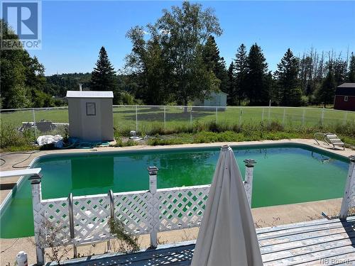 21 Maclaggan Drive, Blackville, NB - Outdoor With In Ground Pool With Deck Patio Veranda With Backyard