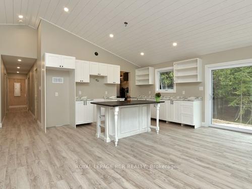 581 Pike Bay Rd, Northern Bruce Peninsula, ON - Indoor Photo Showing Kitchen With Upgraded Kitchen