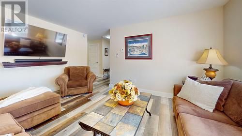 167 Indian Pond Drive, Conception Bay South, NL - Indoor Photo Showing Living Room