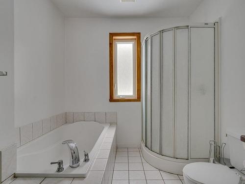 Bathroom - 48 Ch. De La Fleur-De-Lune, Saint-Sauveur, QC - Indoor Photo Showing Bathroom