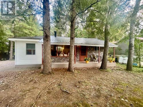 81 Mcguire Beach Rd, Kawartha Lakes, ON - Outdoor