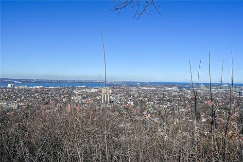 30 Summit Avenue|Unit #202, Hamilton, ON - Outdoor With View