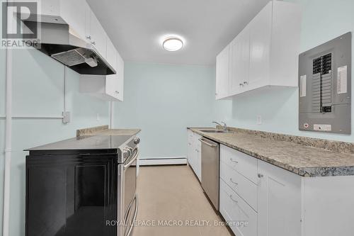 #202 -30 Summit Ave, Hamilton, ON - Indoor Photo Showing Kitchen