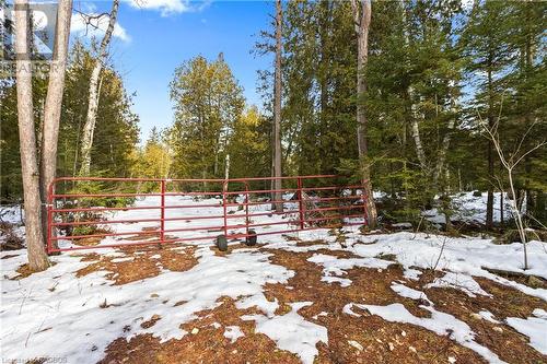 Gated entry to the property - Lot 41 & 42 4 Concession, Northern Bruce Peninsula, ON 