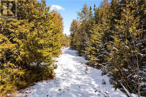 Nicely treed and private - Lot 41 & 42 4 Concession, Northern Bruce Peninsula, ON 