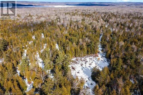 The trail leads to a large clearing on the property - Lot 41 & 42 4 Concession, Northern Bruce Peninsula, ON 