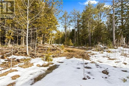 Many trails throughout! - Lot 41 & 42 4 Concession, Northern Bruce Peninsula, ON 
