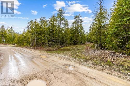 Shouldice Lake Rd. - Road Allowance / Trail leading to the Property - Lot 41 & 42 4 Concession, Northern Bruce Peninsula, ON 