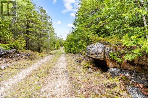 4WD or ATV Access - Road Allowance / Trail leading to the Property - Lot 41 & 42 4 Concession, Northern Bruce Peninsula, ON 