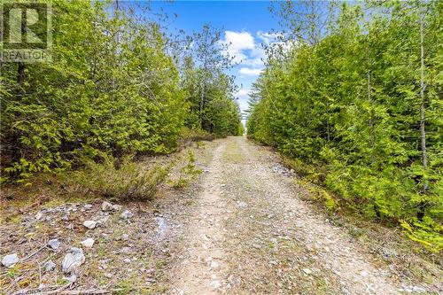 Lot 41 & 42 4 Concession, Northern Bruce Peninsula, ON 