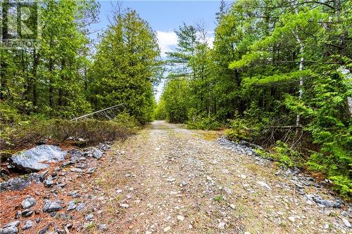 Nicely treed and private - Lot 41 & 42 4 Concession, Northern Bruce Peninsula, ON 