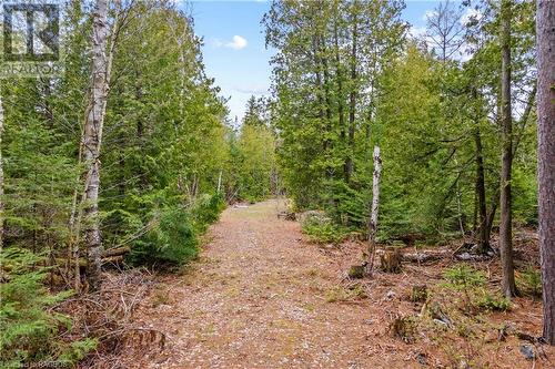 Lot 41 & 42 4 Concession, Northern Bruce Peninsula, ON 