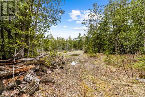 Lot 41 & 42 4 Concession, Northern Bruce Peninsula, ON 