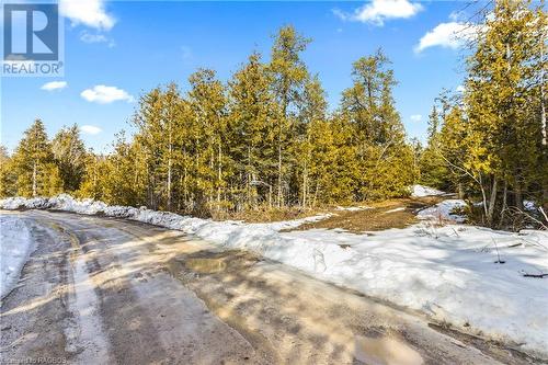 Shouldice Lake Rd. - Road Allowance / Trail leading to the Property - Lot 41 & 42 4 Concession, Northern Bruce Peninsula, ON 