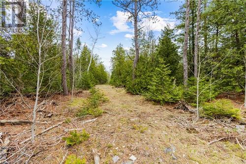 Lot 41 & 42 4 Concession, Northern Bruce Peninsula, ON 