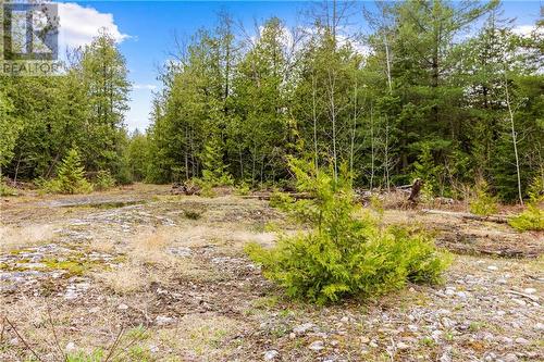 Lot 41 & 42 4 Concession, Northern Bruce Peninsula, ON 