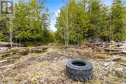 Lot 41 & 42 4 Concession, Northern Bruce Peninsula, ON 