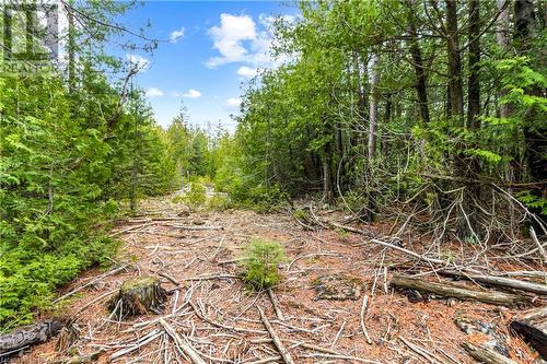 Lot 41 & 42 4 Concession, Northern Bruce Peninsula, ON 