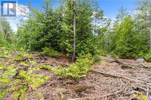 Lot 41 & 42 4 Concession, Northern Bruce Peninsula, ON 