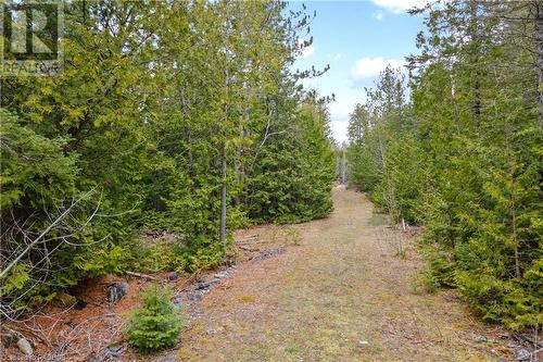 Lot 41 & 42 4 Concession, Northern Bruce Peninsula, ON 