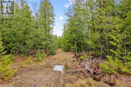 Lot 41 & 42 4 Concession, Northern Bruce Peninsula, ON 