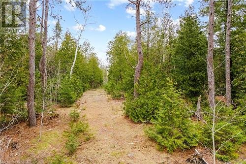 Many trails throughout! - Lot 41 & 42 4 Concession, Northern Bruce Peninsula, ON 