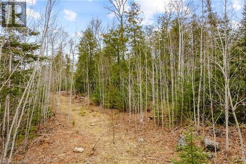 Lot 41 & 42 4 Concession, Northern Bruce Peninsula, ON 