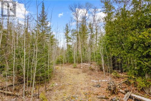 ATV - Walk - Ski - Explore! - Lot 41 & 42 4 Concession, Northern Bruce Peninsula, ON 