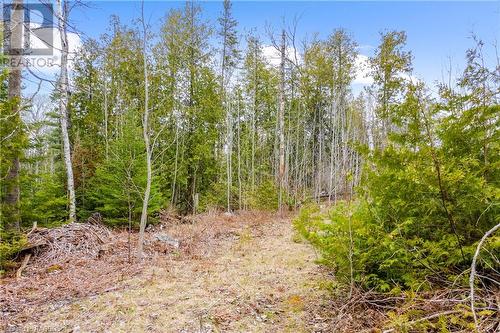 Lot 41 & 42 4 Concession, Northern Bruce Peninsula, ON 