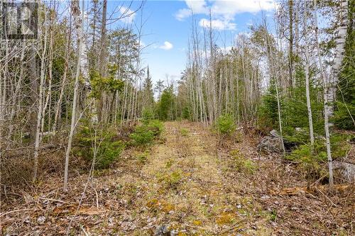 Lot 41 & 42 4 Concession, Northern Bruce Peninsula, ON 