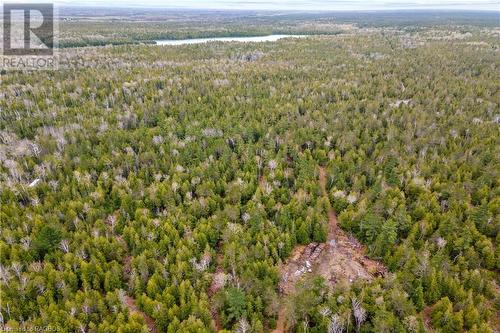 Lot 41 & 42 4 Concession, Northern Bruce Peninsula, ON 