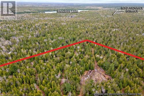 Lot 41 & 42 4 Concession, Northern Bruce Peninsula, ON 