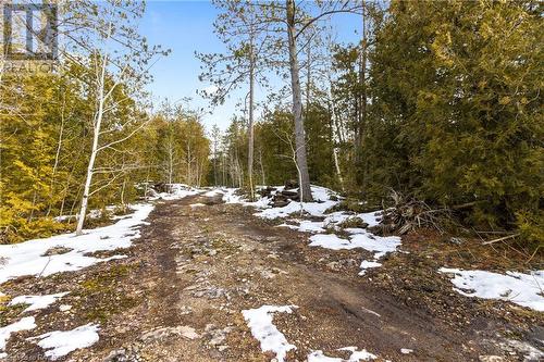 4WD or ATV Access - Road Allowance / Trail leading to the Property - Lot 41 & 42 4 Concession, Northern Bruce Peninsula, ON 