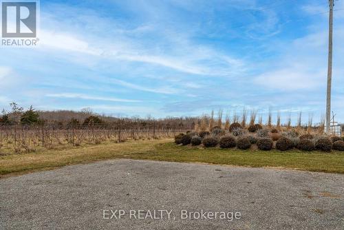 3609 County Rd 8, Prince Edward County, ON 