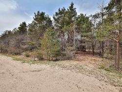 Land/Lot - 