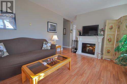 32 Fox Harbour Road, Dunville - Placentia, NL - Indoor Photo Showing Living Room With Fireplace